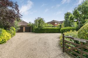 Photo 24- click for photo gallery